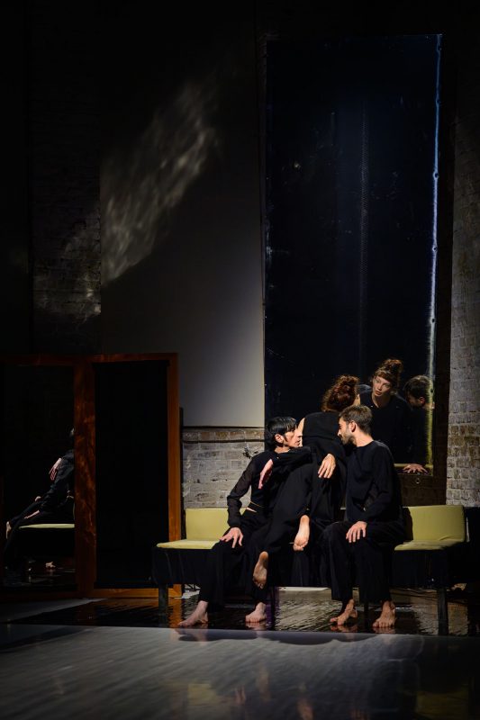 Laborgras Sinnestaumel