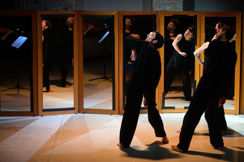 Laborgras Sinnestaumel