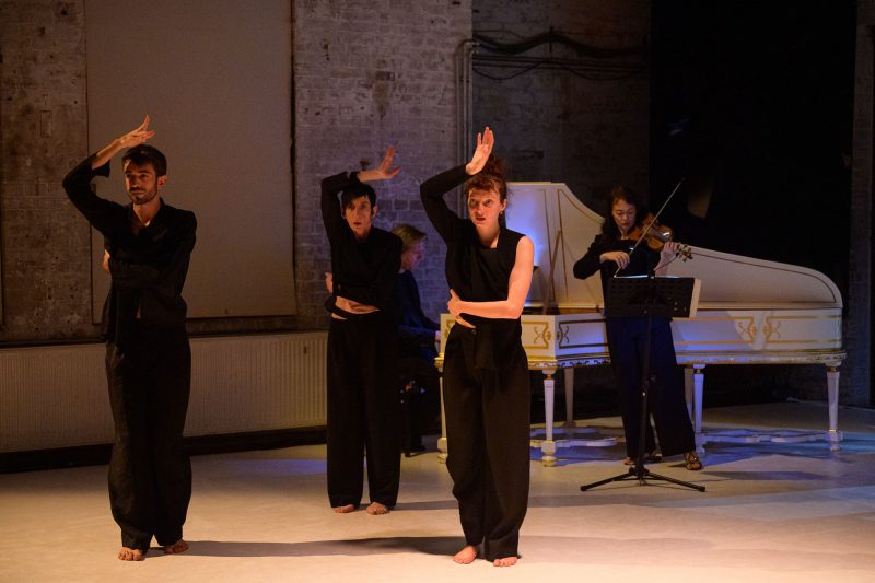 Laborgras Sinnestaumel