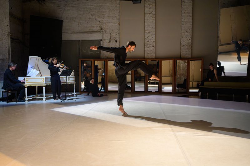 Laborgras Sinnestaumel