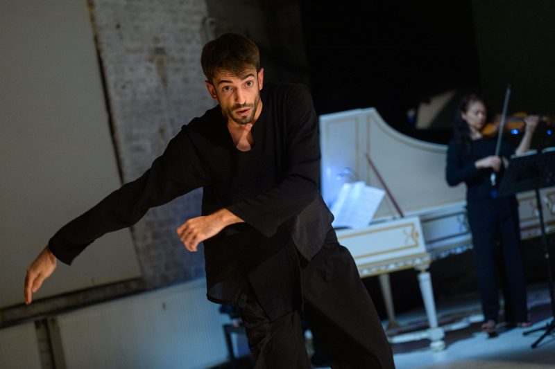 Laborgras Sinnestaumel