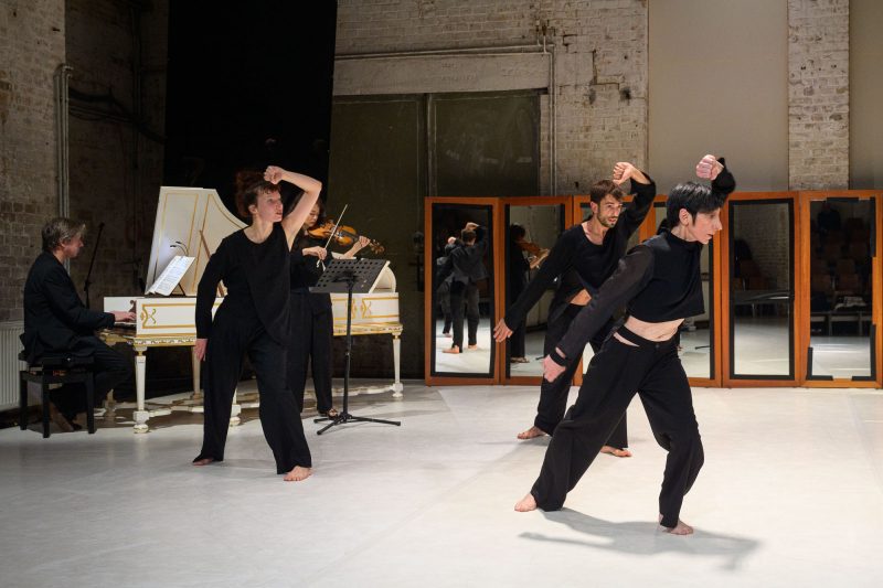 Laborgras Sinnestaumel